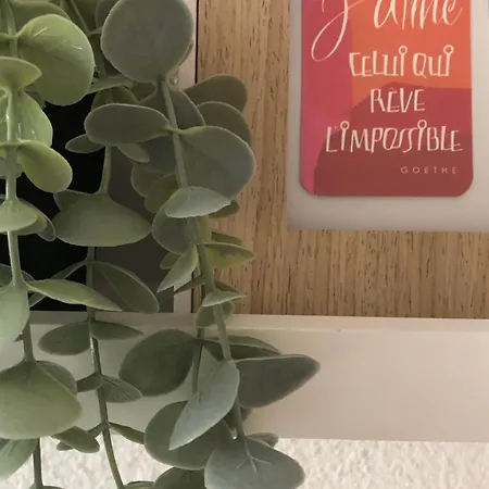 Apartmán La Royale Au Le Cap D'agde Agde